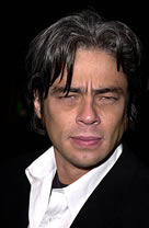 Benicio Del Toro