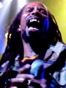 The Wailers