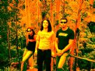 Verbase